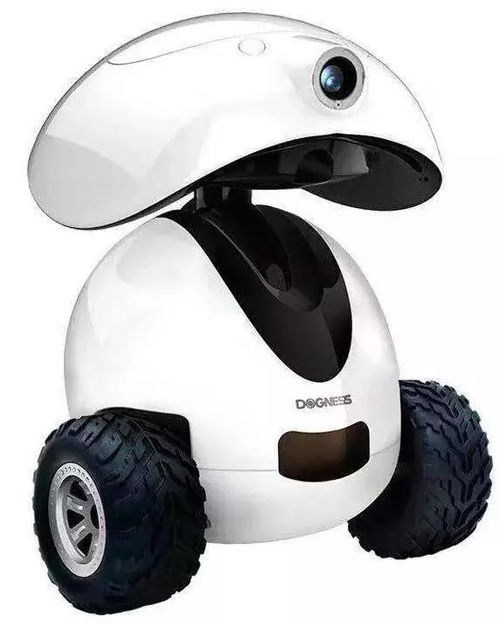 寵物新國貨崛起 中寵、瘋狂小狗、它它、多尼斯、依依、小鮮糧與物聯網技術的融合與發展