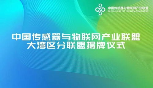 深圳搶位智能賽道, 國字號 聯盟大灣區分聯盟落戶